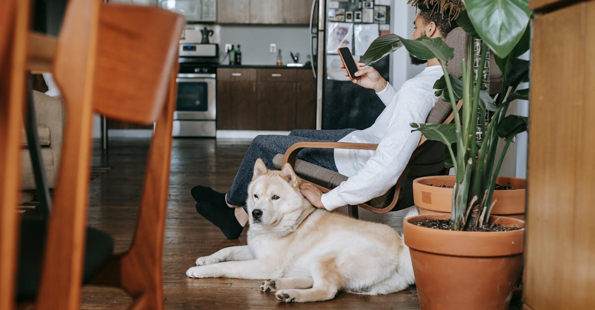 découvrez les secrets de l'animal communication et apprenez à communiquer avec les animaux grâce à nos experts et nos formations.