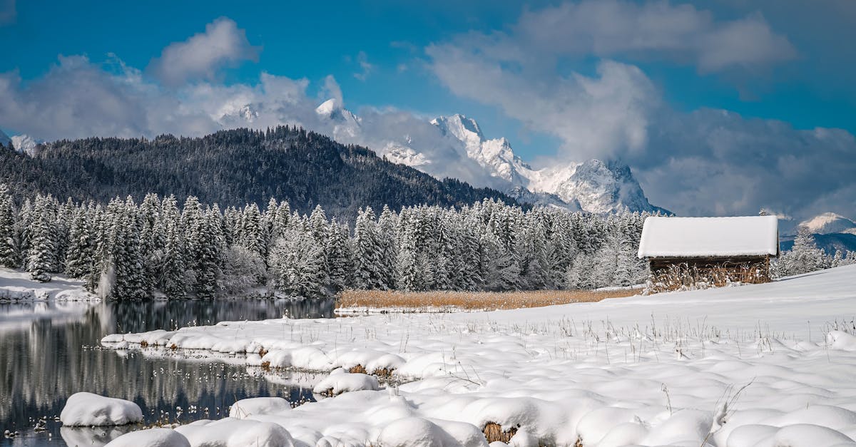 découvrez les vitamines essentielles pour l'hiver pour rester en pleine forme et renforcer votre système immunitaire.