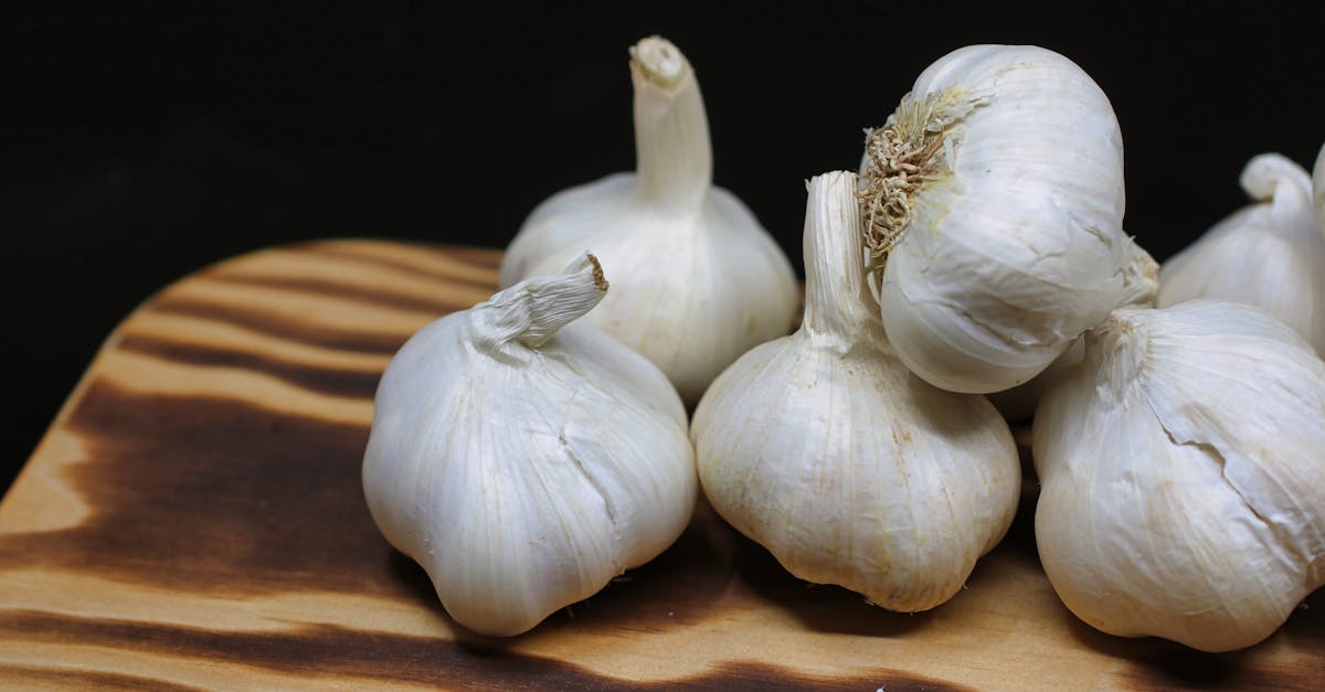 découvrez tous les bienfaits et les utilisations du garlic dans notre guide complet. astuces, recettes et bien plus encore pour profiter de ses propriétés aromatiques et médicinales.