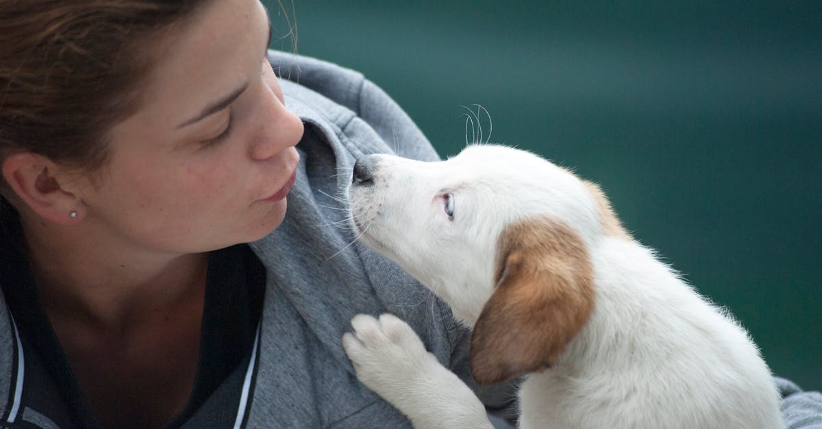 naturopathie pour le bien-être des animaux : soins naturels pour animaux