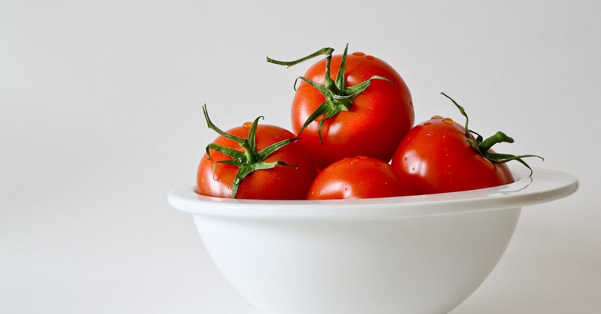 découvrez tout sur la tomate : origine, variétés, recettes et bienfaits pour la santé. cultivez, cuisinez et savourez la tomate sous toutes ses formes.