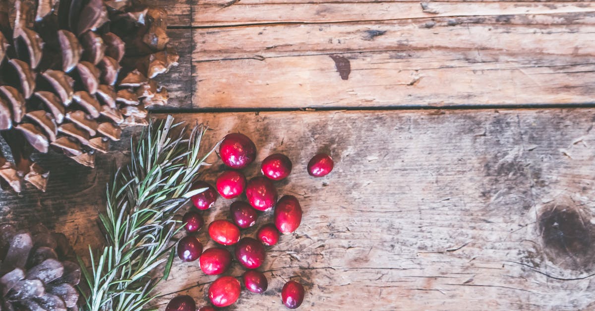 découvrez une sélection de délicieux plats d'hiver pour vous réchauffer, des recettes réconfortantes et savoureuses à déguster en famille ou entre amis.